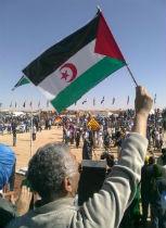 Vestsahara flag